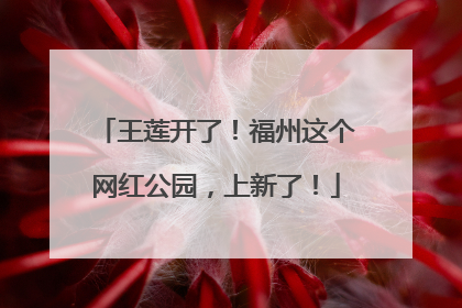 王莲开了！福州这个网红公园，上新了！