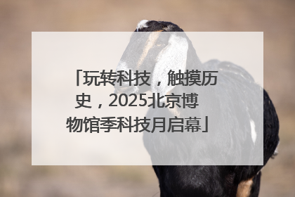 玩转科技，触摸历史，2025北京博物馆季科技月启幕