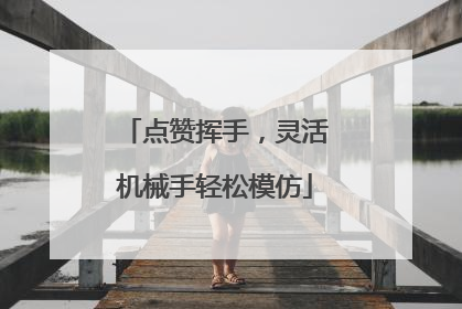 点赞挥手，灵活机械手轻松模仿