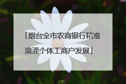 烟台全市农商银行精准滴灌个体工商户发展