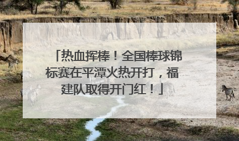 热血挥棒！全国棒球锦标赛在平潭火热开打，福建队取得开门红！