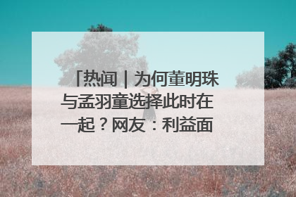 热闻｜为何董明珠与孟羽童选择此时在一起？网友：利益面前啥都能和解
