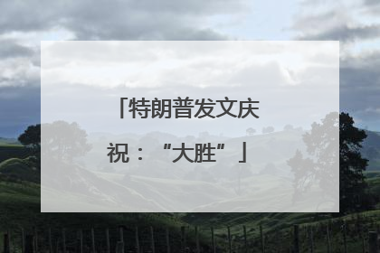 特朗普发文庆祝：“大胜”