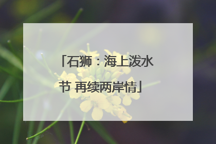 石狮：海上泼水节 再续两岸情