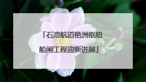 石澧航道艳洲枢纽船闸工程迎新进展