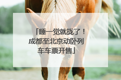 睡一觉就拢了！成都至北京动卧列车车票开售