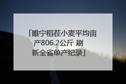 睢宁稻茬小麦平均亩产806.2公斤 刷新全省单产纪录