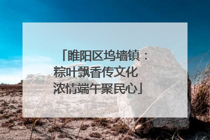 睢阳区坞墙镇：粽叶飘香传文化 浓情端午聚民心