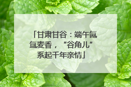 甘肃甘谷：端午氤氲麦香，“谷角儿”系起千年亲情