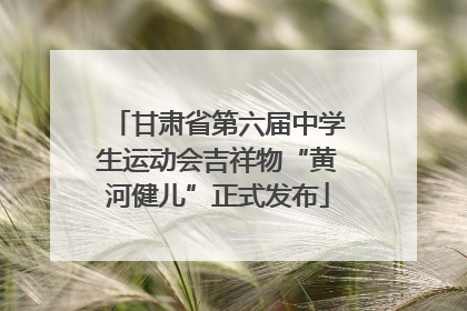 甘肃省第六届中学生运动会吉祥物“黄河健儿”正式发布