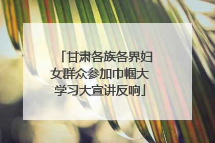 甘肃各族各界妇女群众参加巾帼大学习大宣讲反响