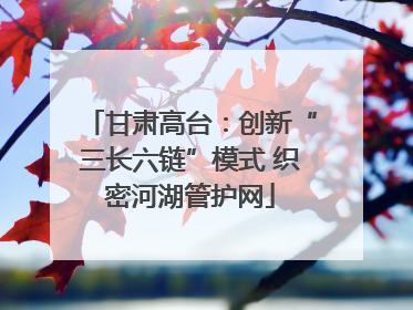 甘肃高台：创新“三长六链”模式 织密河湖管护网
