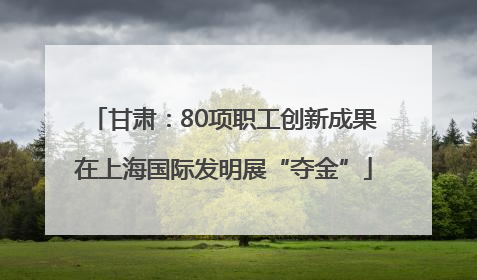 甘肃：80项职工创新成果在上海国际发明展“夺金”