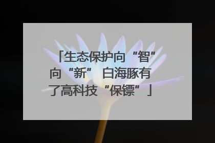 生态保护向“智”向“新” 白海豚有了高科技“保镖”