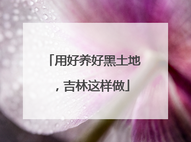 用好养好黑土地，吉林这样做