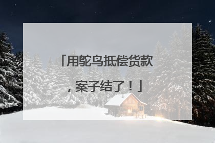 用鸵鸟抵偿货款，案子结了！