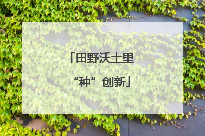 田野沃土里“种”创新