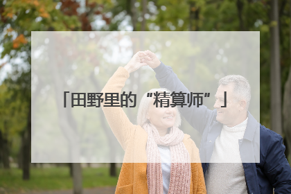 田野里的“精算师”