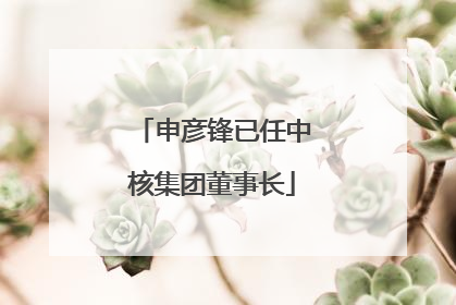 申彦锋已任中核集团董事长