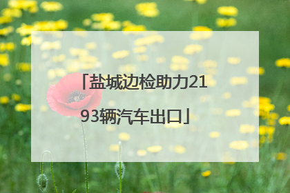 盐城边检助力2193辆汽车出口