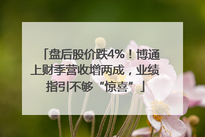 盘后股价跌4%！博通上财季营收增两成，业绩指引不够“惊喜”