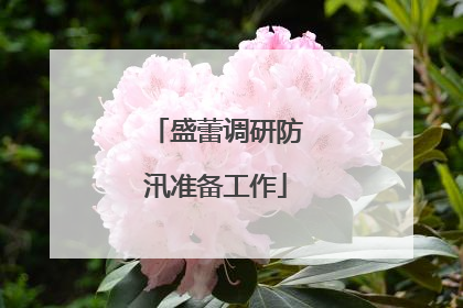 盛蕾调研防汛准备工作