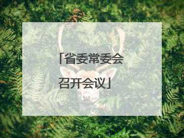 省委常委会召开会议