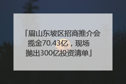 眉山东坡区招商推介会揽金70.43亿，现场抛出300亿投资清单