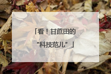 看！甘蔗田的“科技范儿”