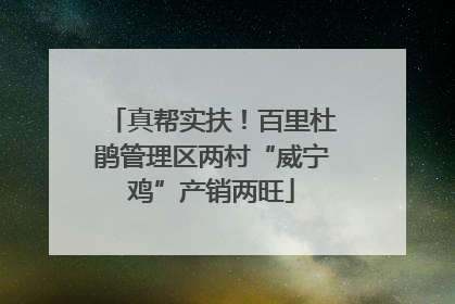 真帮实扶！百里杜鹃管理区两村“威宁鸡”产销两旺