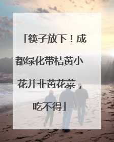 筷子放下！成都绿化带桔黄小花并非黄花菜，吃不得