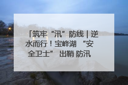 筑牢“汛”防线｜逆水而行！宝峰湖 “安全卫士” 出鞘 防汛应急再添硬核力量