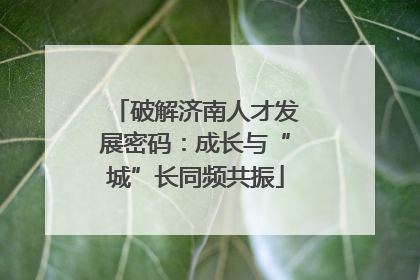 破解济南人才发展密码：成长与“城”长同频共振