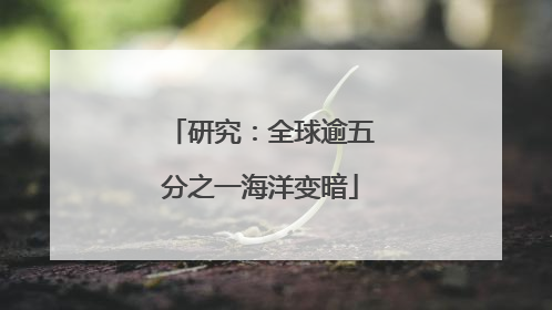 研究：全球逾五分之一海洋变暗