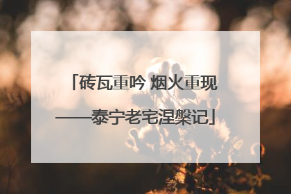 砖瓦重吟 烟火重现——泰宁老宅涅槃记