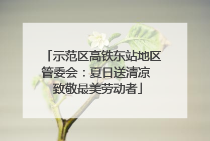 示范区高铁东站地区管委会：夏日送清凉 致敬最美劳动者