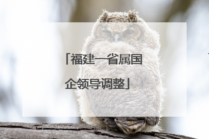 福建一省属国企领导调整