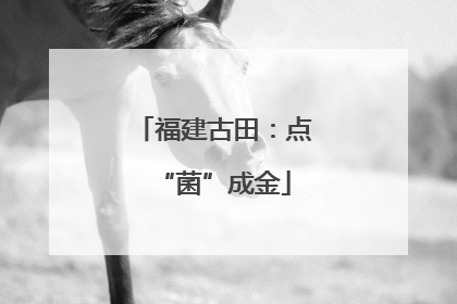 福建古田：点“菌”成金