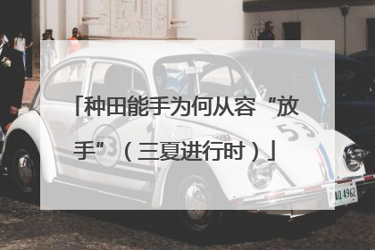 种田能手为何从容“放手”（三夏进行时）