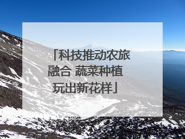 科技推动农旅融合 蔬菜种植玩出新花样