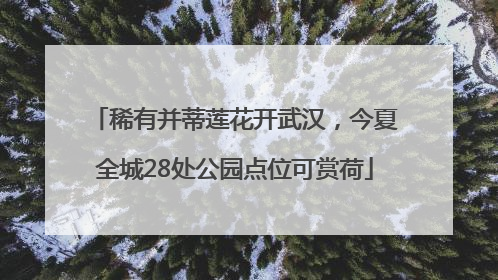 稀有并蒂莲花开武汉，今夏全城28处公园点位可赏荷