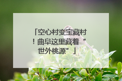 空心村变宝藏村！曲阜这里藏着“世外桃源”