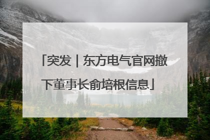 突发｜东方电气官网撤下董事长俞培根信息