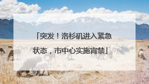 突发！洛杉矶进入紧急状态，市中心实施宵禁