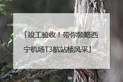 竣工验收！带你领略西宁机场T3航站楼风采