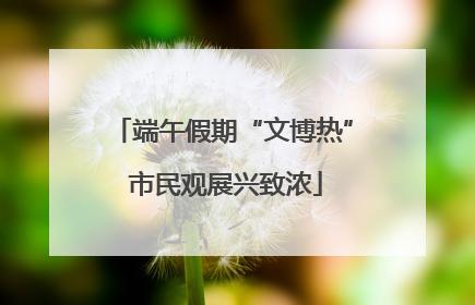 端午假期“文博热” 市民观展兴致浓