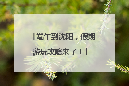 端午到沈阳，假期游玩攻略来了！