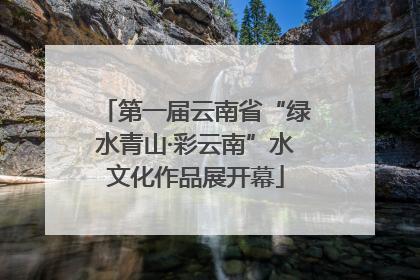 第一届云南省“绿水青山·彩云南”水文化作品展开幕