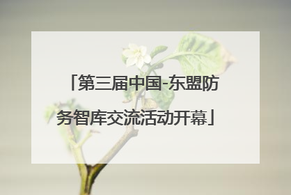第三届中国-东盟防务智库交流活动开幕
