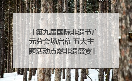第九届国际非遗节广元分会场启幕 五大主题活动点燃非遗盛宴